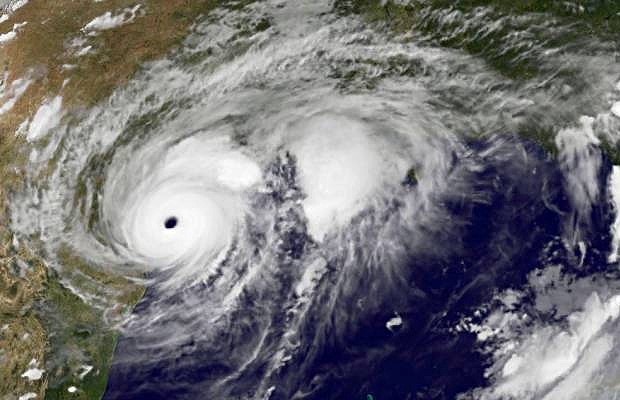 Naturaleza destruyendo la naturaleza