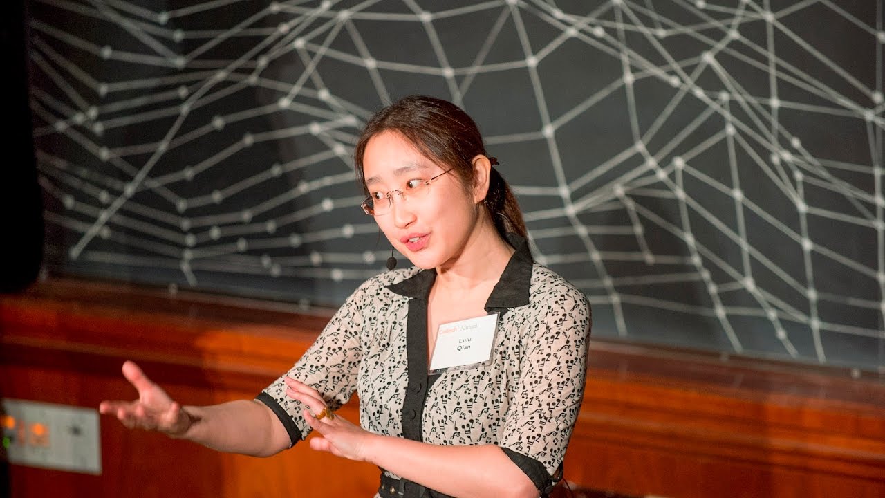 Lulu Qian – CS+Biology – Alumni College 2016