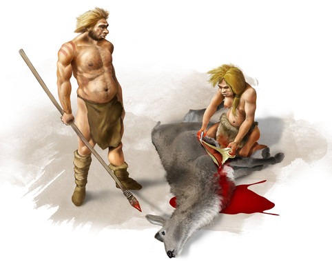 Restos de un niño revelan cómo crecía el cerebro de los neandertales