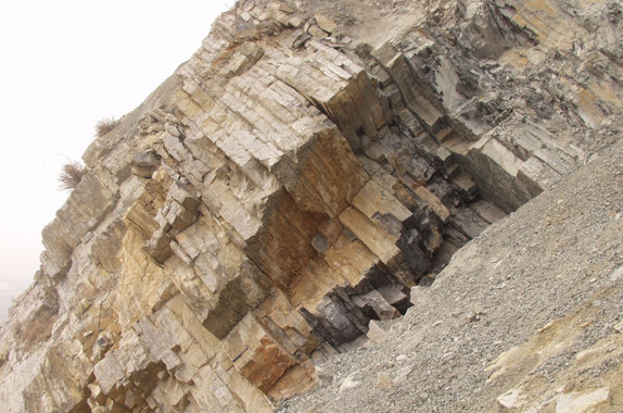 Una fórmula matemática predice la sexta extinción en masa