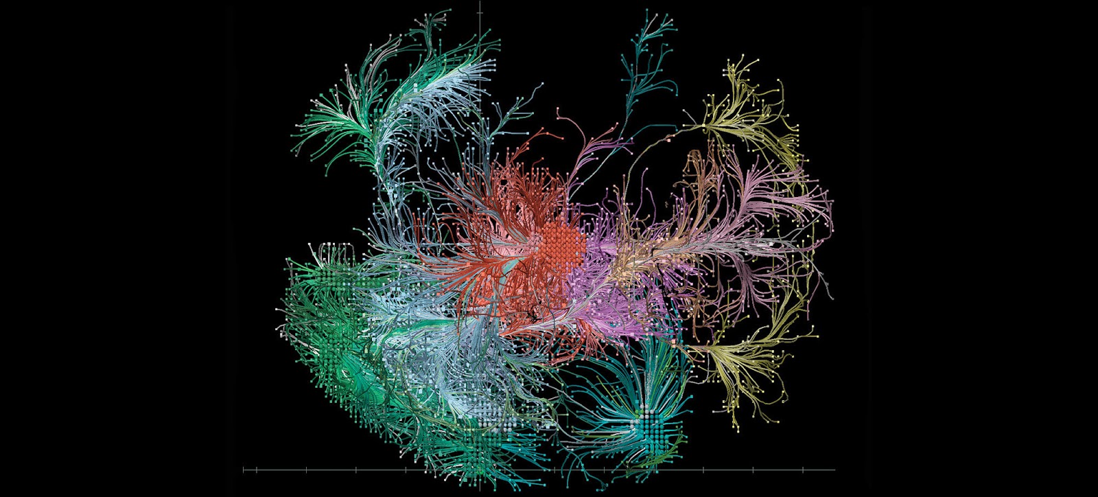 Existen seres humanos que solo tienen belleza