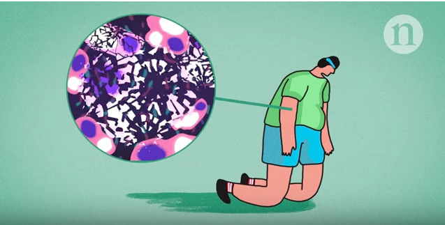 Fighting fatty livers