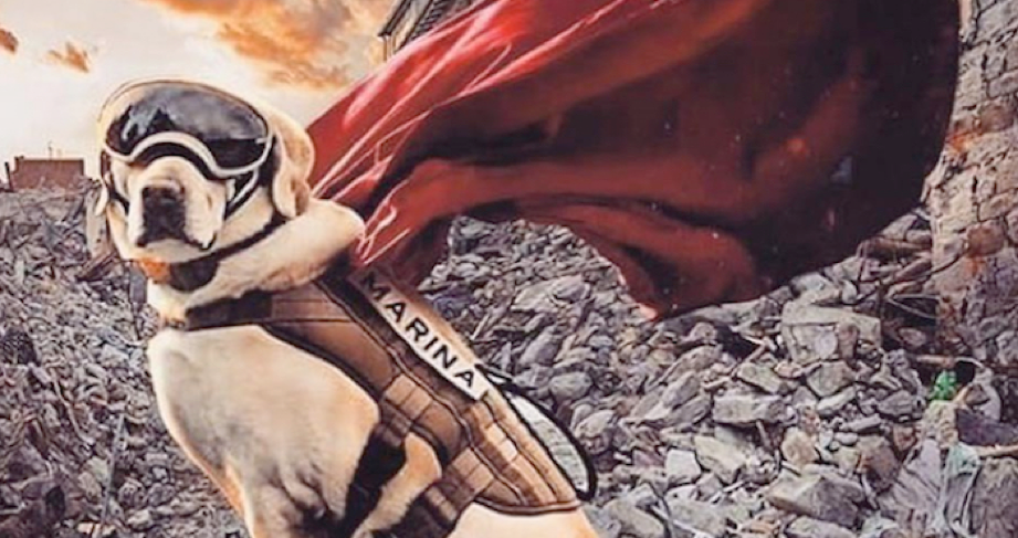 De ser una mascota a héroe nacional