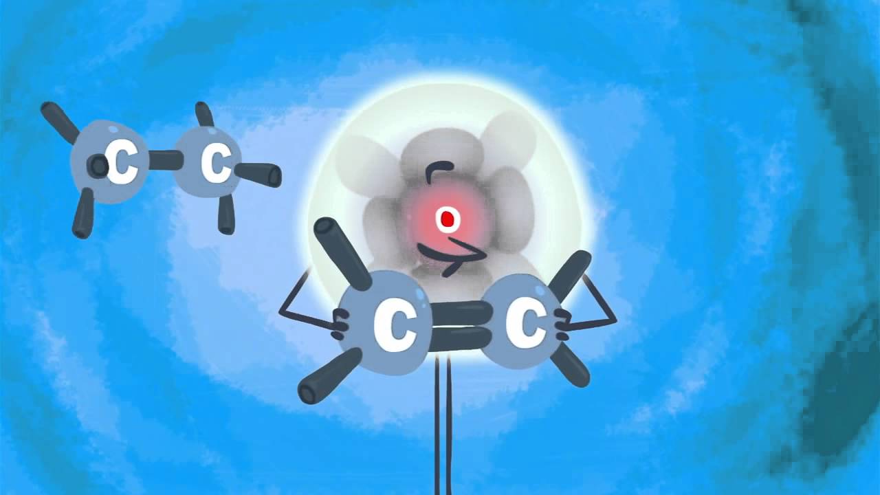 ¿Qué es la grasa? – George Zaidan