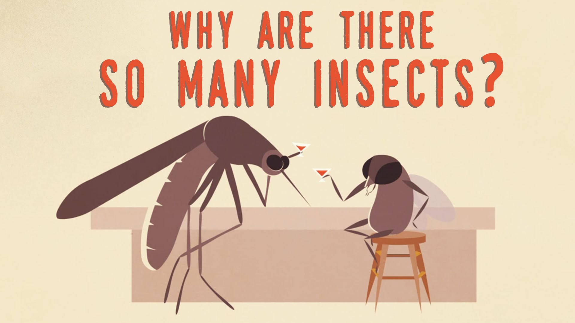 Why are there so many insects? – Murry Gans