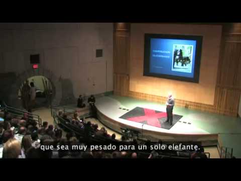 Frans de Waal: Comportamiento moral en los animales