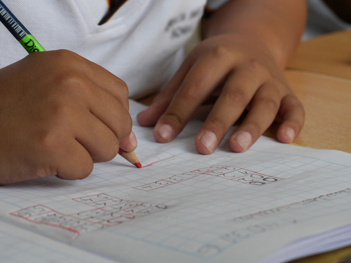 Identifican más de 1.200 variantes genéticas asociadas al éxito educativo