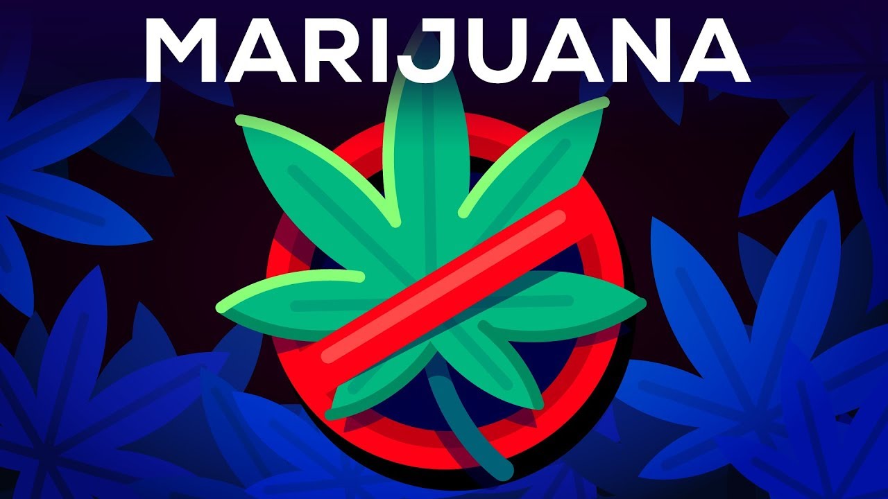 3 Arguments Why Marijuana Should Stay Illegal Reviewed