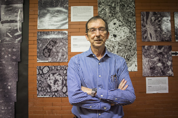 “En nuestro cerebro adulto ya no se forman nuevas neuronas, pero no es el fin del mundo”