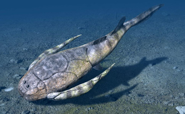 Los primeros peces se originaron en aguas marinas cerca de la costa