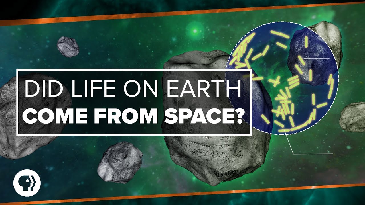 Did Life on Earth Come from Space? | Space Time
