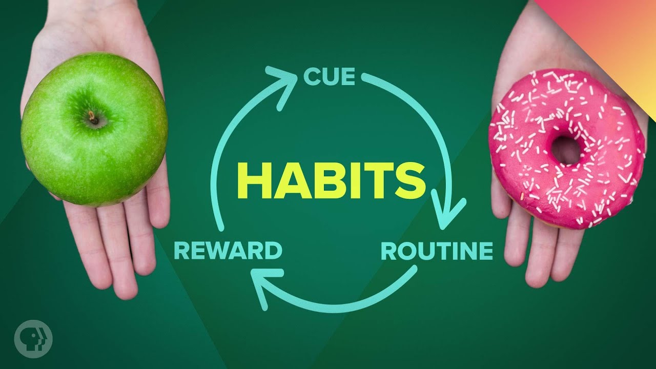 How Habits Change Your Brain