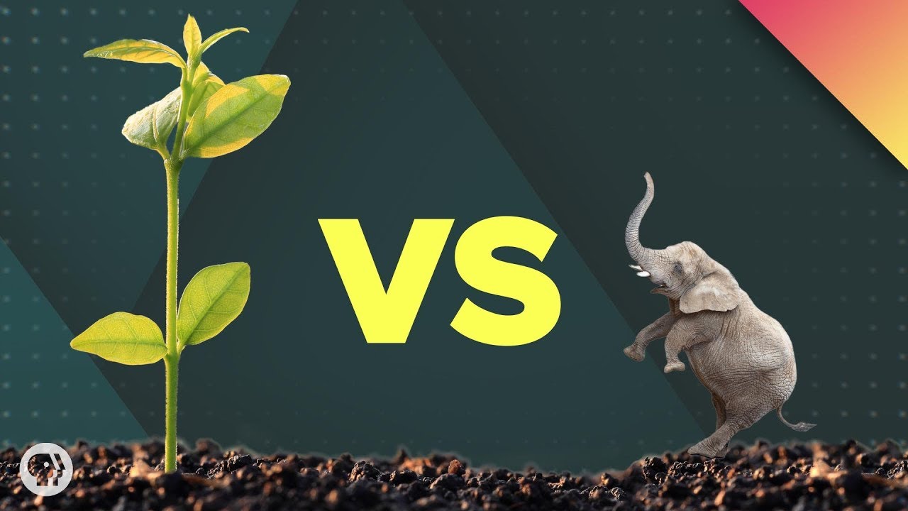 Which Life Form REALLY Dominates Earth?