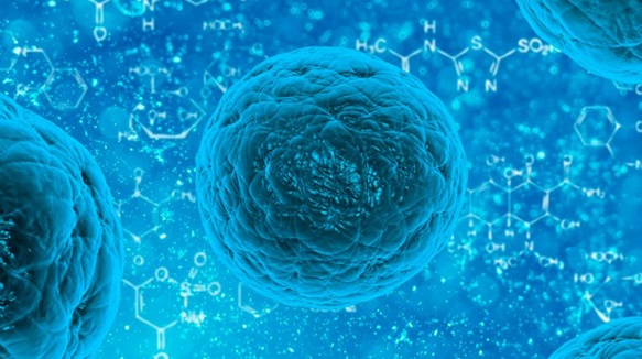 Las células usan azúcares para comunicarse a nivel molecular