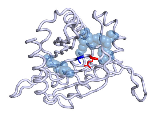 Descrito un nuevo gen implicado en el desarrollo de un tumor endocrino raro