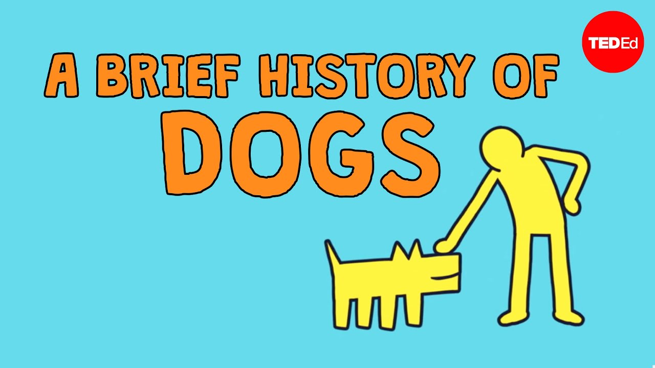 A brief history of dogs David Ian Howe Reporte Ciencia UANL