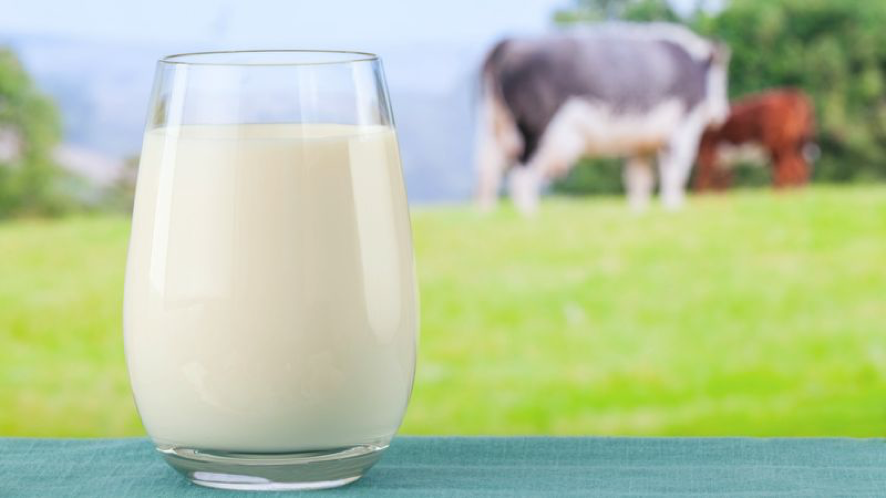 Qué es preferible, ¿leche de vaca o vegetal?