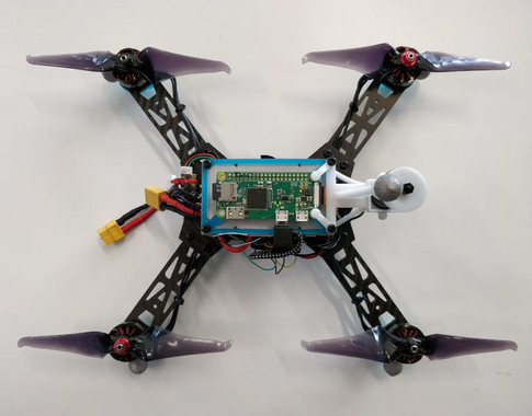 Robots inspirados en insectos no necesitan GPS para orientarse