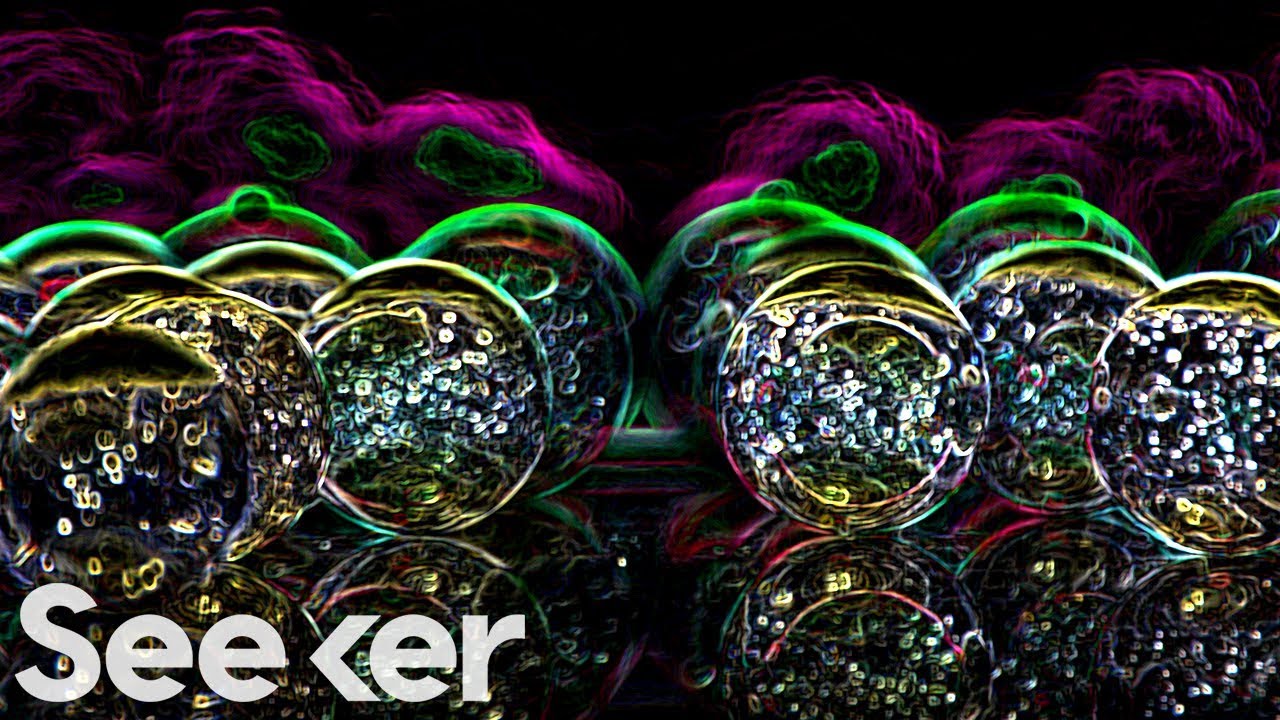 How Ferroelectricity Could Change the Way We Store Data