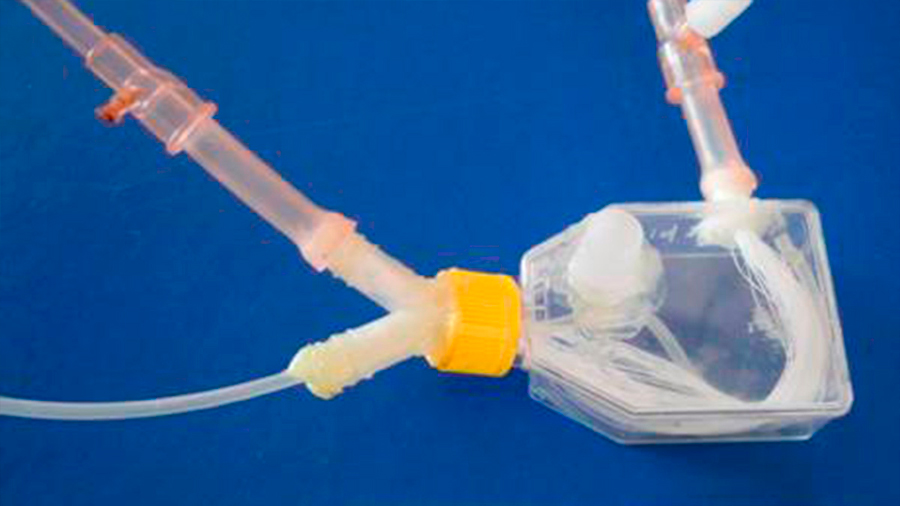 Crean científicos argentinos un prototipo de hígado bioartificial