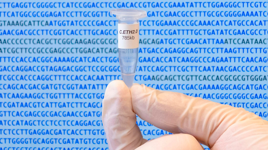 Primer genoma recompuesto al completo con un algoritmo de computadora