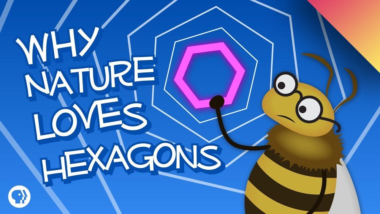 Why Nature Loves Hexagons (featuring Infinite Series!)