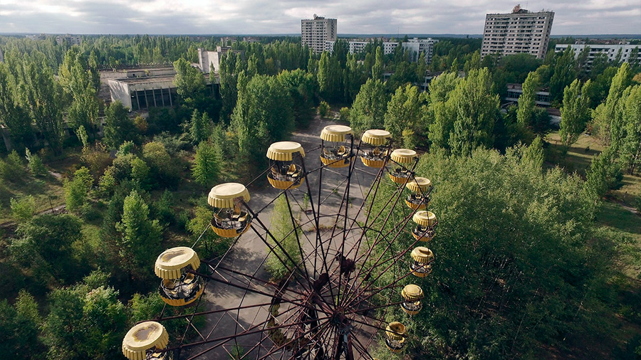 Las plantas de Chernóbil sobrevivieron a la radiación y al cáncer. ¿Su secreto? Modificar sus genes
