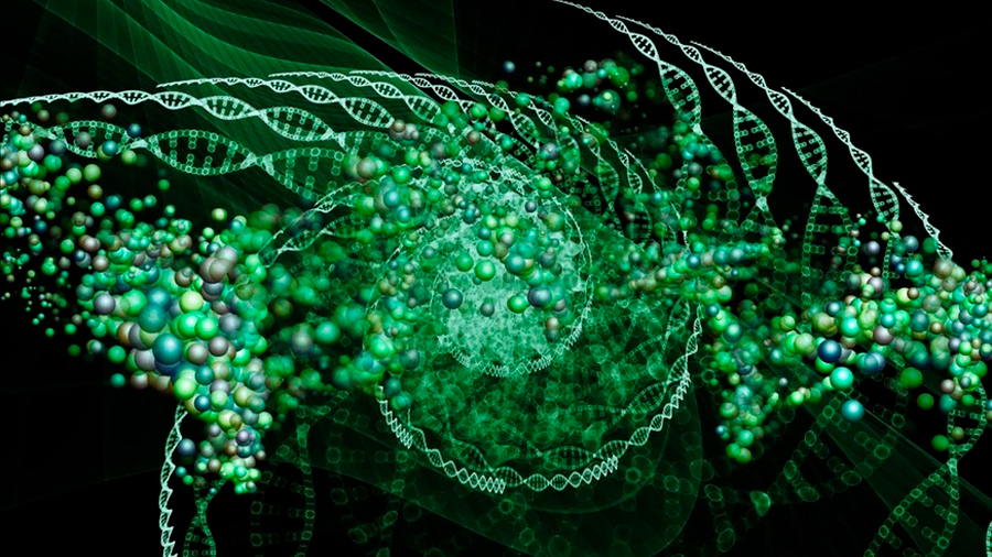 Descubiertas cuatro mil nuevas familias de pequeñas proteínas en el microbioma humano
