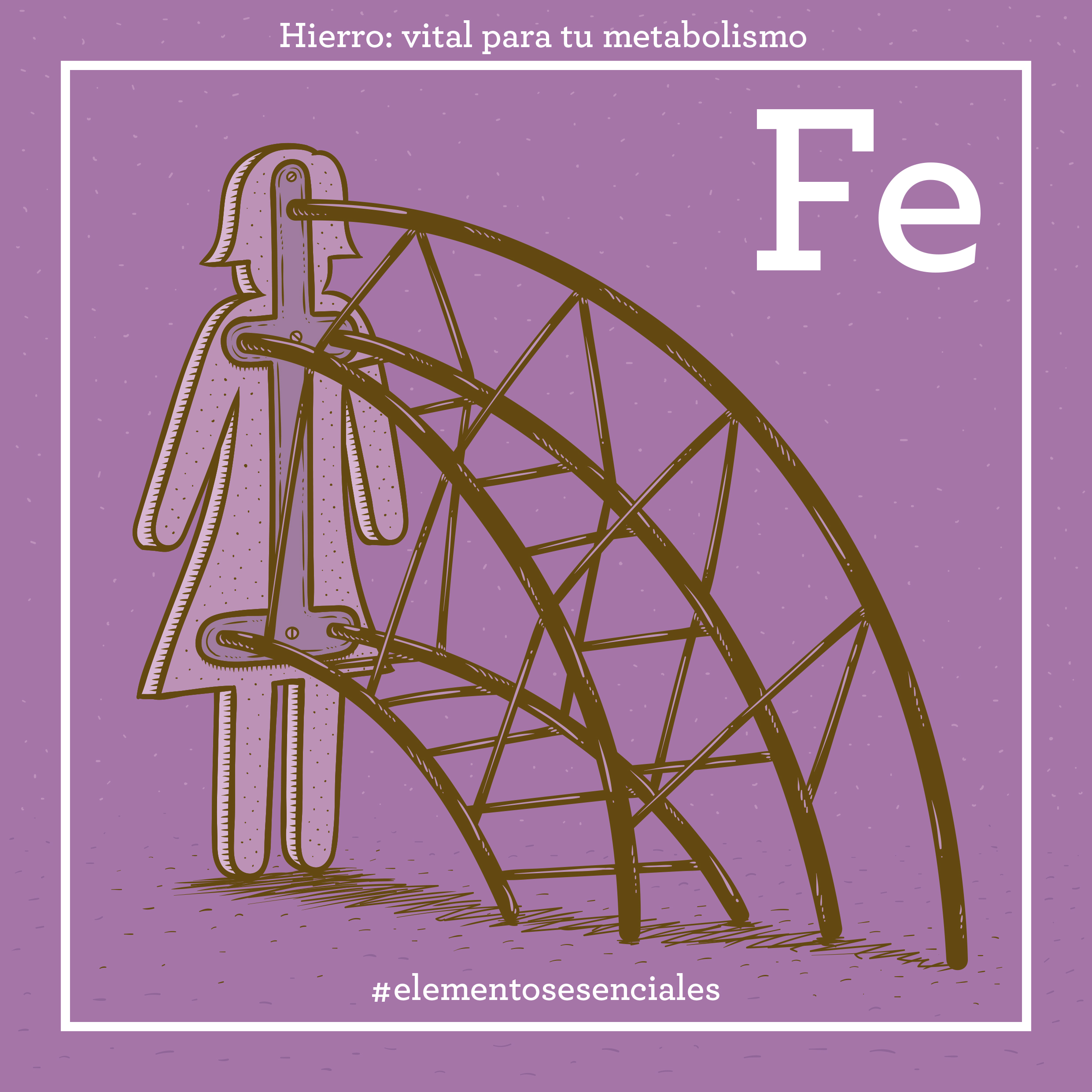 Hierro, vital para tu metabolismo