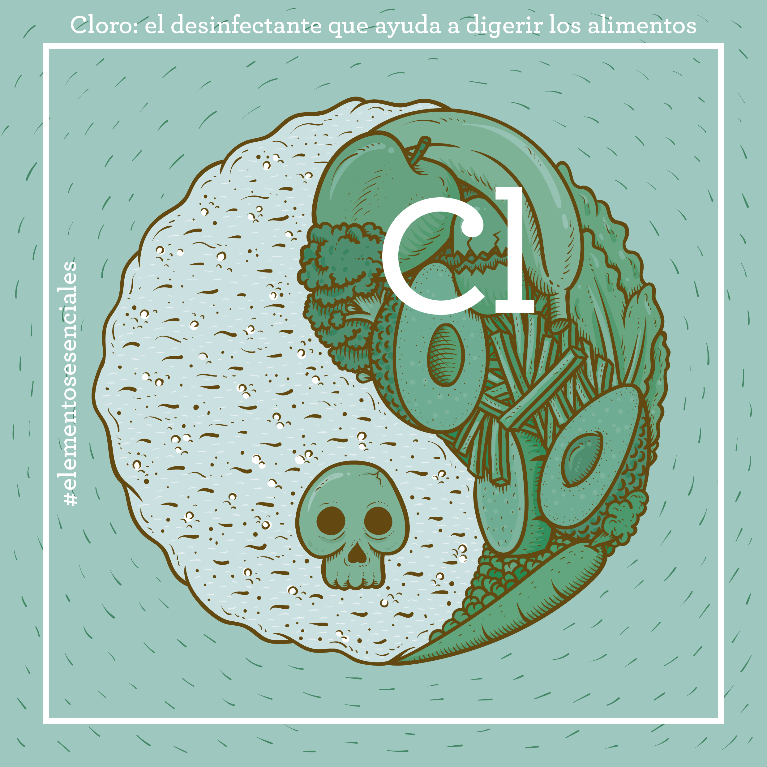 Cloro, el desinfectante que ayuda a digerir los alimentos