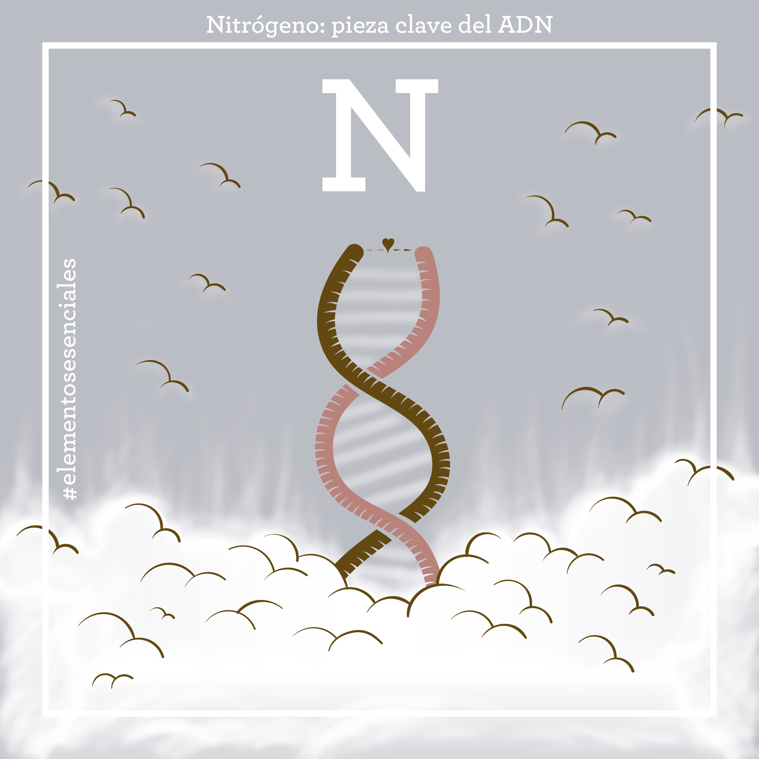 Nitrógeno, pieza clave del ADN