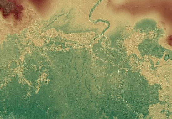 El impacto de los mayas en el medio ambiente fue mayor de lo que se creía