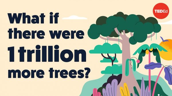 What if there were 1 trillion more trees? – Jean-François Bastin