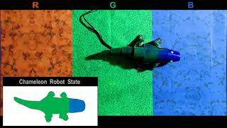 Chameleon robot