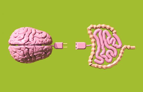 El intestino como un segundo cerebro