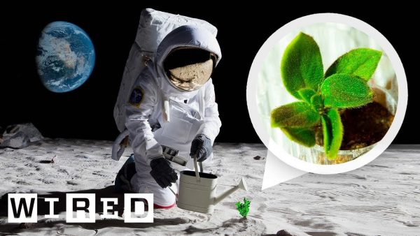 How Artemis Astronauts Plan to Grow Plants on the Moon | WIRED￼