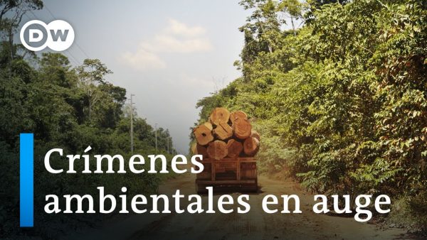 Amazonas: la deforestación bate récords