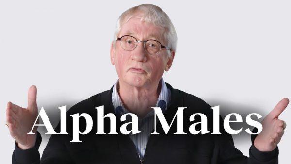 The ‘alpha male’ myth, debunked | Frans de Waal