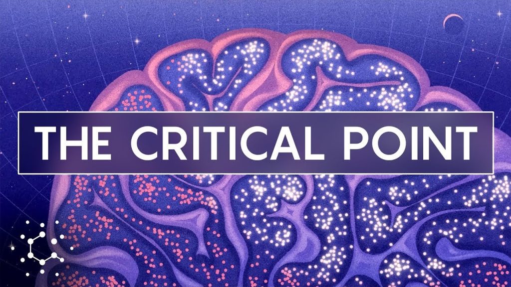 Could One Physics Theory Unlock the Mysteries of the Brain? - Reporte ...